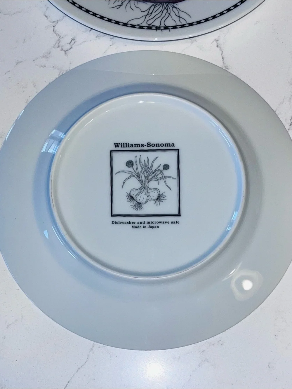 Williams Sonoma Harvest Vegetables salad plates full set six #WSO31 7-3/4”